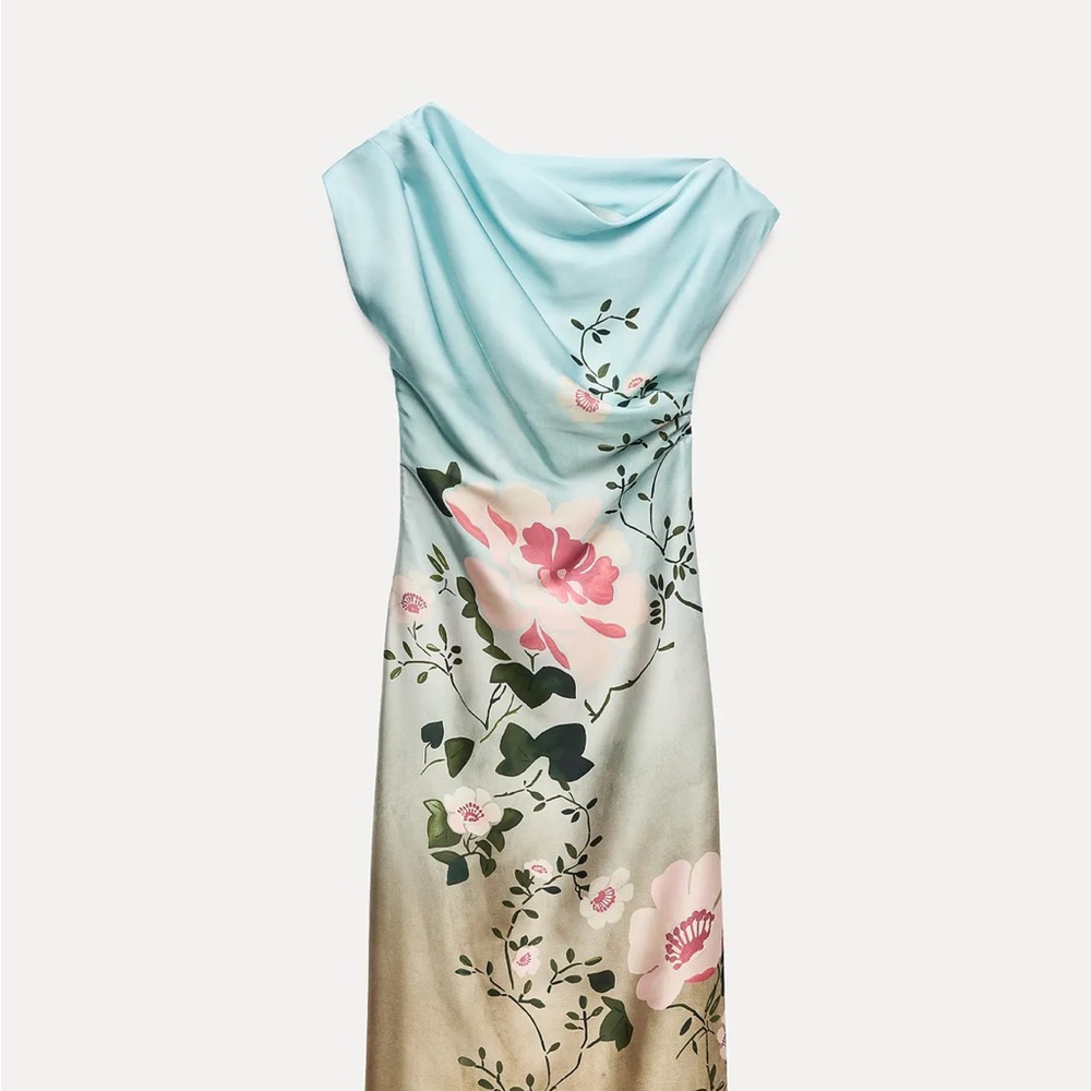 Zara Floral Print Dress in Blue and Pink